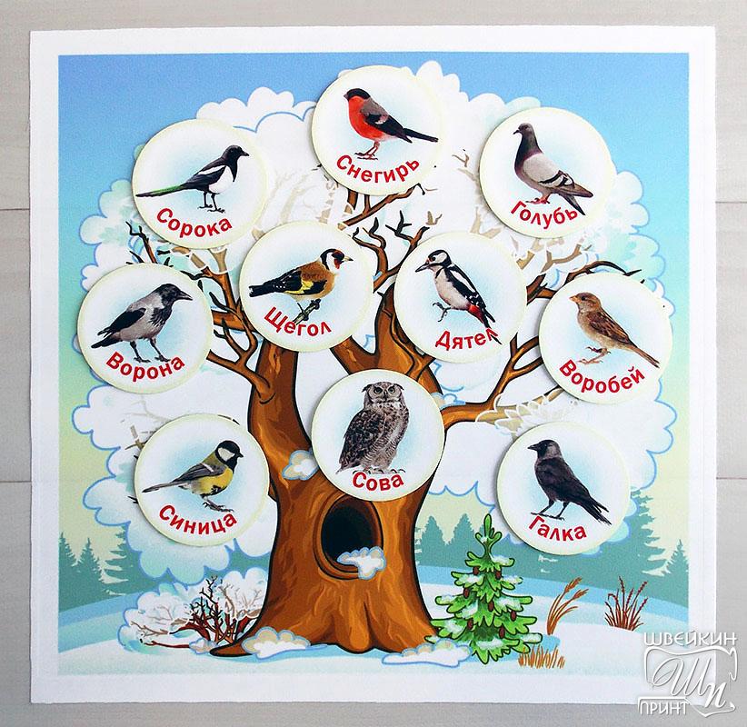 Вырубка - Набор Зимующие и перелетные птицы + фоны